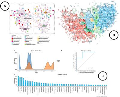 Frontiers | Exploring The Microbiome Analysis And Visualization Landscape